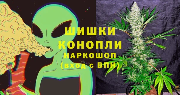 дживик Бородино