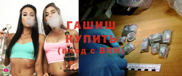 дживик Бородино