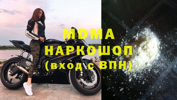 дживик Бородино