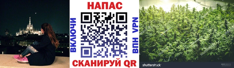 Бошки марихуана конопля  Нефтеюганск 